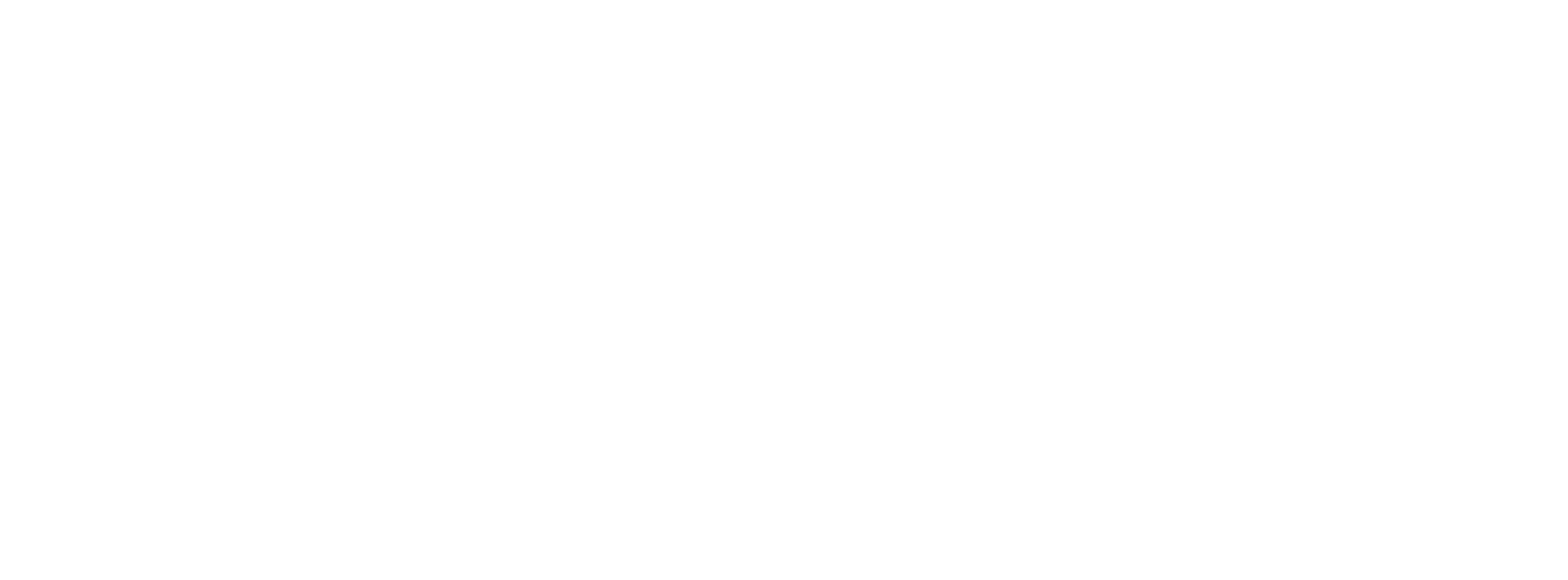 Youth Foreign Policy Network Logo